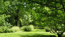  Arboretum du Chemin de la Découverte (Melle)